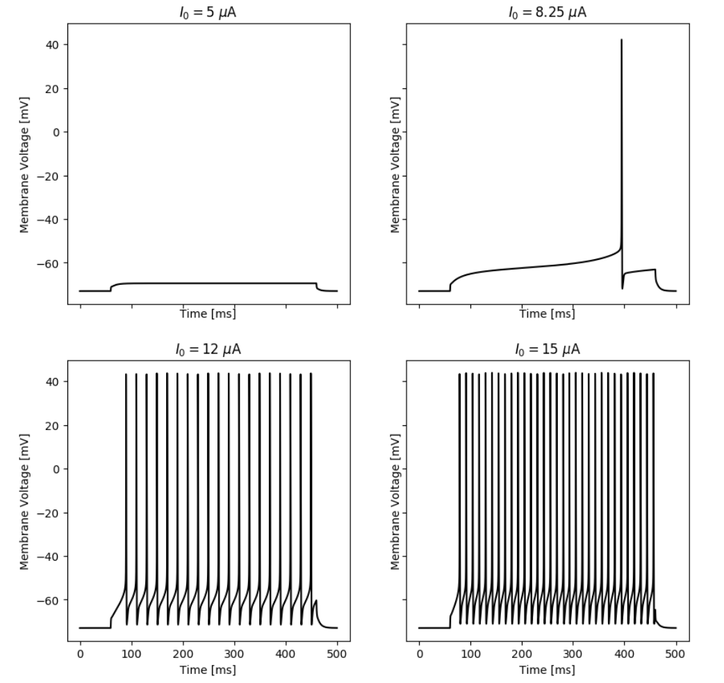 Responses of the simulated neuron with an A-Type current at different input currents.